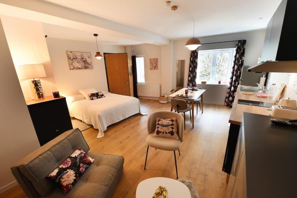 Apartment Albarine-2 Pers-wifi-cosy-confort-bien-etre Oyonnax